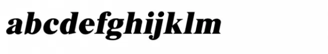 Shree Devanagari 1009 Bold Italic