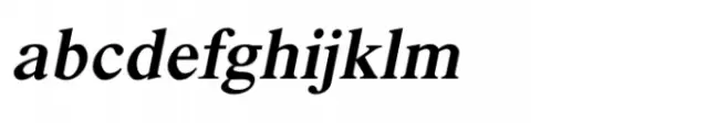 Shree Devanagari 1035 Italic