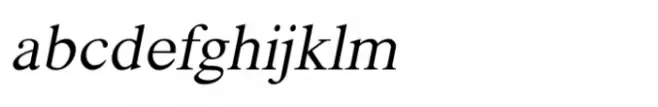 Shree Devanagari 1051 Italic