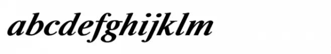 Shree Devanagari 1059 Italic