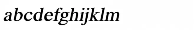 Shree Devanagari 1224 Bold Italic
