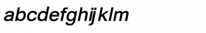 Shree Devanagari 1232 Bold Italic