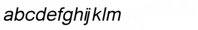 Shree Devanagari 1232 Italic