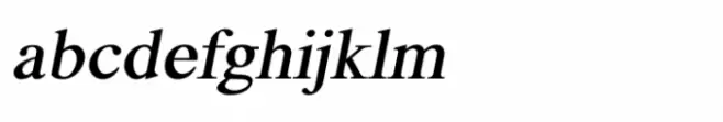 Shree Devanagari 1244 Italic