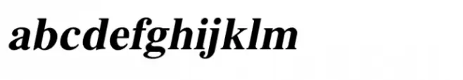 Shree Devanagari 1254 Italic