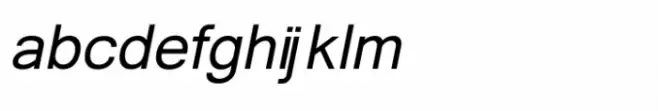 Shree Devanagari 2398 Bold Italic
