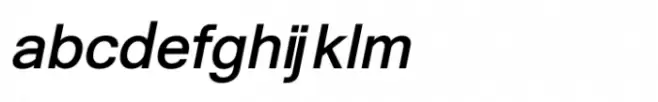 Shree Devanagari 3557 Italic