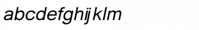 Shree Devanagari 3606 Bold Italic