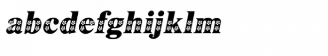 Shree Devanagari 3677 Italic