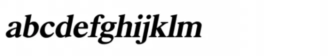 Shree Devanagari 4530 Italic