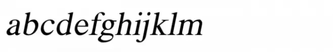 Shree Devanagari 4537 Italic