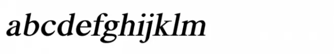Shree Devanagari 4554 Italic
