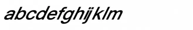 Shree Devanagari 4588 Italic