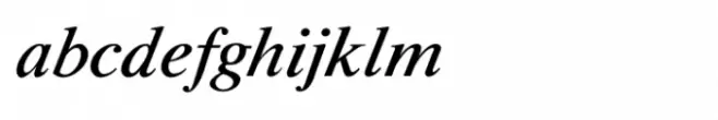 Shree Gujarati 0795 Italic