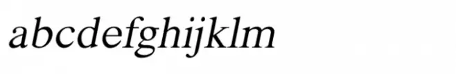 Shree Gujarati 1100 Medium Italic