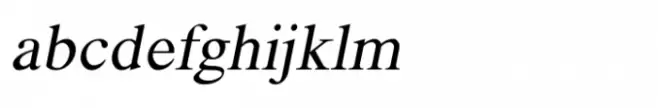 Shree Gujarati 1105 Medium Italic