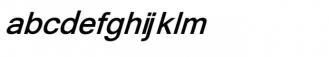 Shree Gujarati 1184 Bold Italic