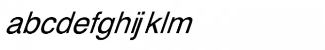Shree Gujarati 1189 Italic