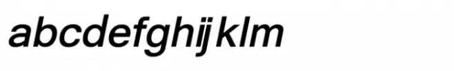 Shree Gujarati 2588 Italic