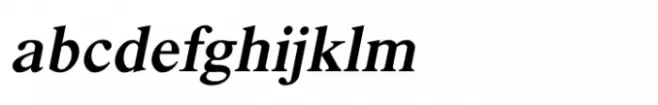Shree Gujarati 3310 Bold Italic