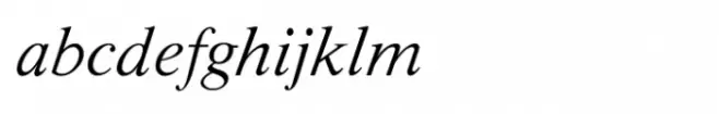 Shree Gujarati 3751 Italic