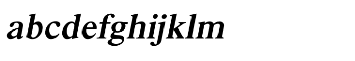 Shree Malayalam 1879 Black Italic
