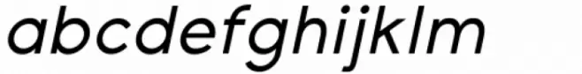 SK Payidar Italic