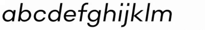 Sonny Gothic Book Italic