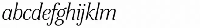 Stepp Medium Italic