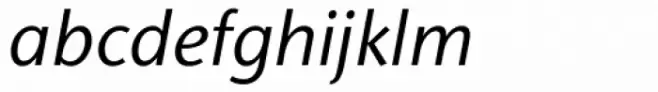 Stone Humanist Medium Italic