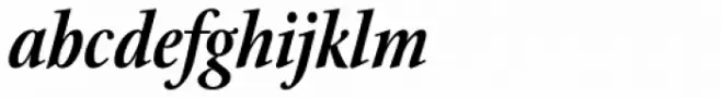 Stone Print SemiBold Italic