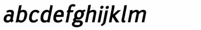 Suss Sans Medium Italic