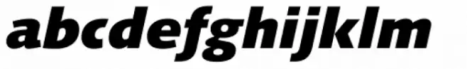 Syntax Next Pro Black Italic