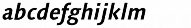 Syntax Next Pro Bold Italic