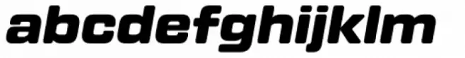 Tactic Round Black Italic