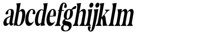 The Documentary Condensed Italic