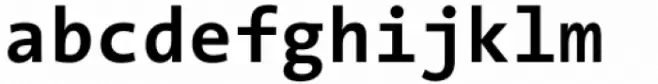 The Sans Mono Bold