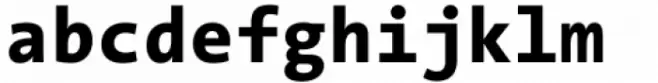 The Sans Mono ExtraBold