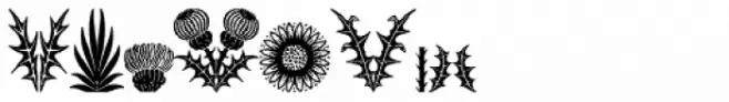 Thistle Borders