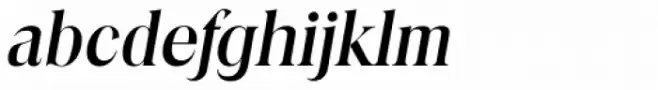 Toledo TS Medium Italic