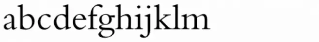 Traditional Arabic Regular
