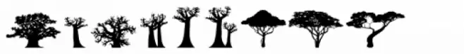 Trees Of Africa