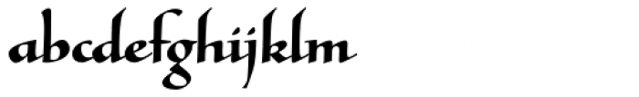 Tresillian Script Bold
