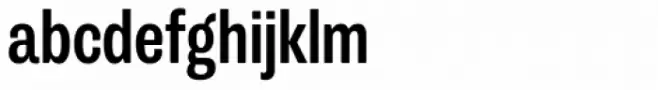 Trivia Grotesk N2 Bold