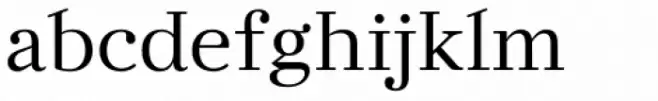 Twentytwelve Serif C