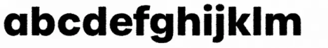 Urbane Rough Bold