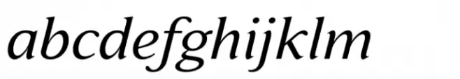 Varisse Soft Serif Italic