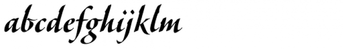 Veljovic Script Pro Bold