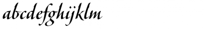 Veljovic Script Pro Medium