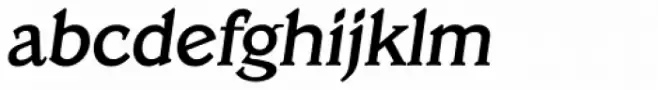Veracruz Serial Medium Italic